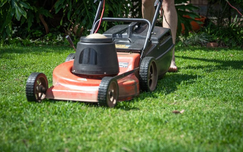 Freshly mown lawn with clean stripes